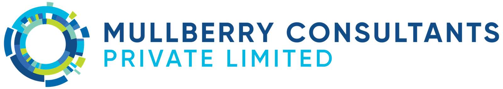 Lucienee Manpower Consultants (OPC) Private Limited